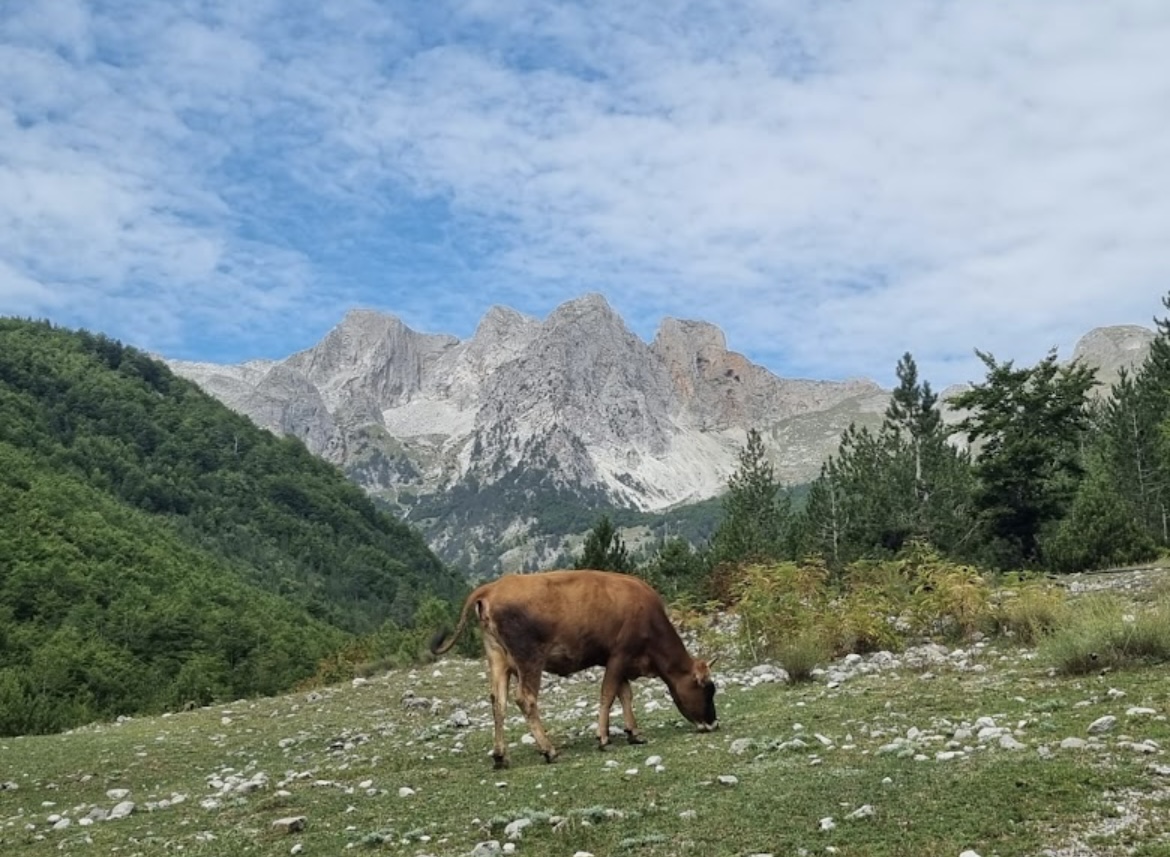 Albania travel gallery image